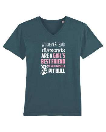 PIT BULL  Stargazer