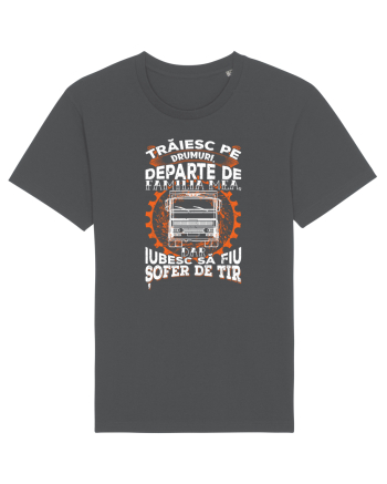 Șofer de tir Anthracite