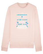 SCHOOL COUNSELOR Bluză mânecă lungă Unisex Rise