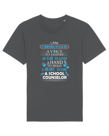 SCHOOL COUNSELOR Anthracite