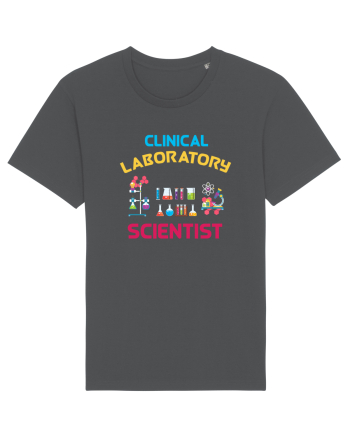 SCIENTIST Anthracite