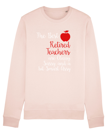 RETIRED TEACHER Candy Pink