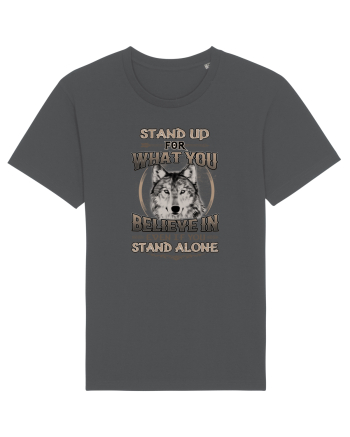 STAND ALONE Anthracite