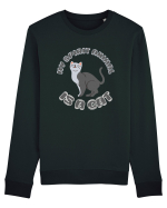 My Spirit Animal Is A Cat Bluză mânecă lungă Unisex Rise