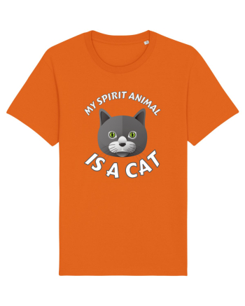 My Spirit Animal Is A Cat Bright Orange