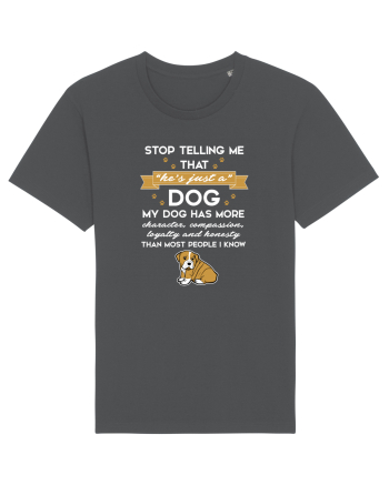 DOG Anthracite