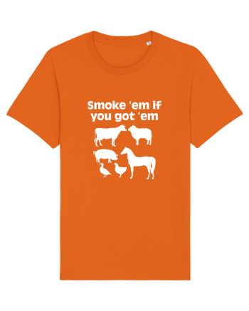 ANIMALS Bright Orange