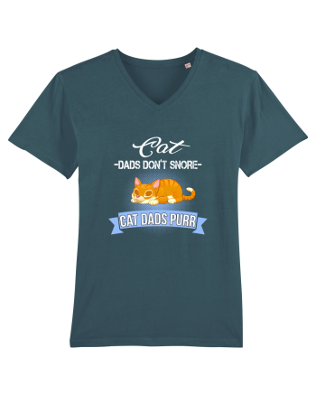 CAT DAD Stargazer