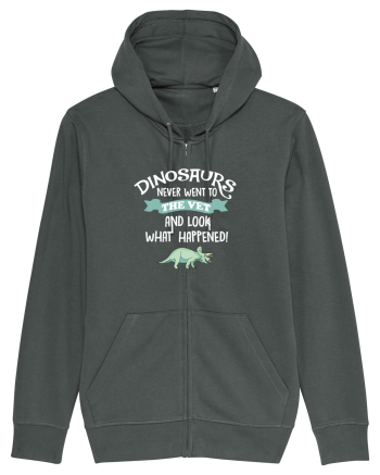 DINOSAURS Anthracite