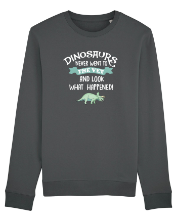 DINOSAURS Anthracite