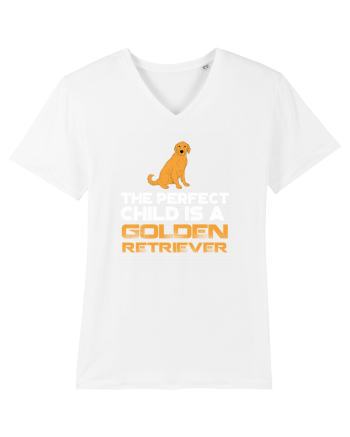 GOLDEN RETRIEVER White