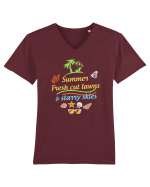 SUMMER Tricou mânecă scurtă guler V Bărbat Presenter