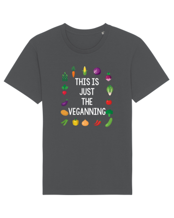 VEGAN Anthracite