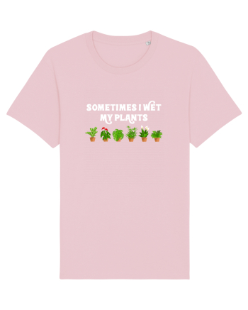 PLANTS Cotton Pink