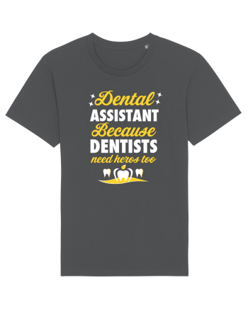 DENTAL ASSISTANT Anthracite