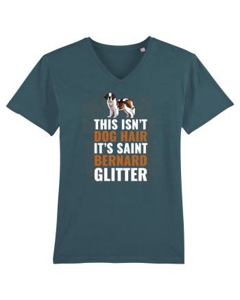 SAINT BERNARD Stargazer
