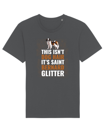 SAINT BERNARD Anthracite