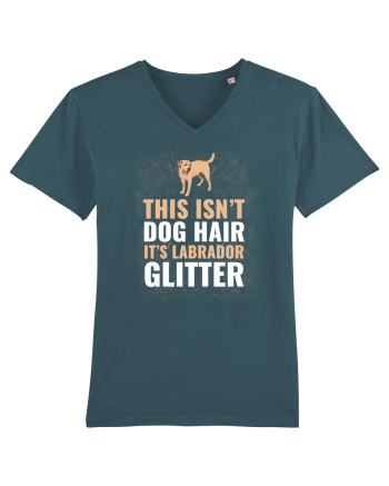 LABRADOR Stargazer
