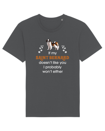 SAINT BERNARD Anthracite