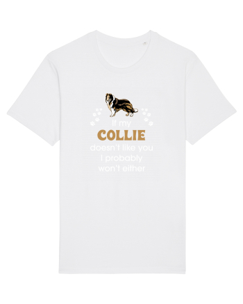 COLLIE White