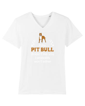 PIT BULL  White