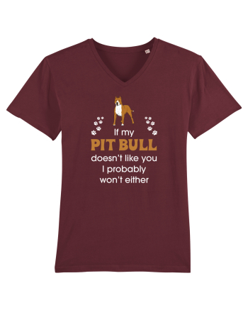 PIT BULL  Burgundy