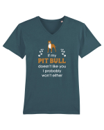 PIT BULL  Tricou mânecă scurtă guler V Bărbat Presenter