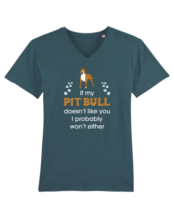 PIT BULL  Stargazer