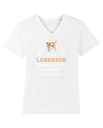 LABRADOR White