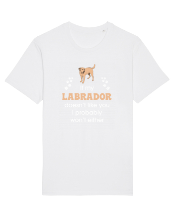 LABRADOR White