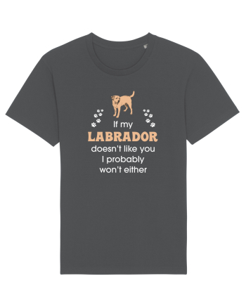 LABRADOR Anthracite