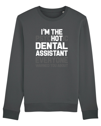 DENTAL ASSISTANT Anthracite