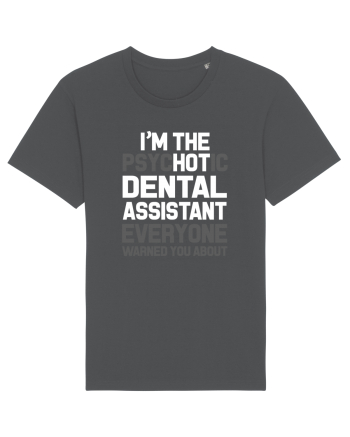 DENTAL ASSISTANT Anthracite