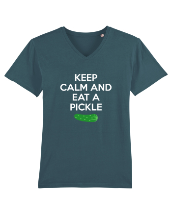 PICKLE Stargazer
