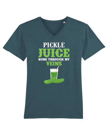 PICKLE Stargazer
