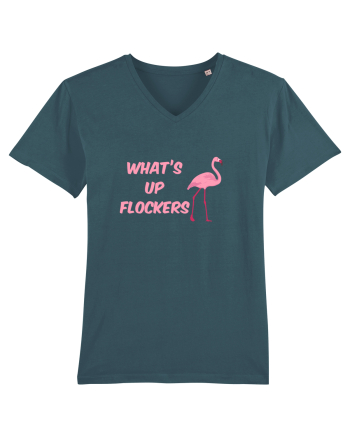 FLAMINGO Stargazer