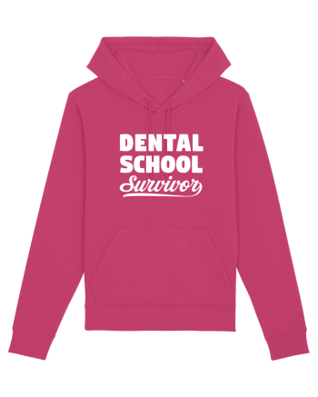 DENTAL SCHOOL Raspberry