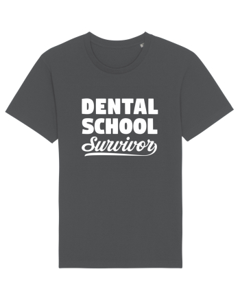 DENTAL SCHOOL Anthracite