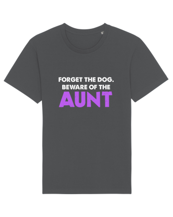 AUNT Anthracite