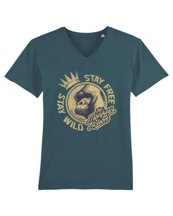 The Monkey Action Stargazer