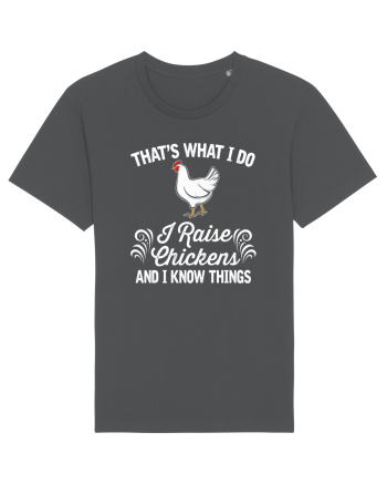 CHICKEN Anthracite