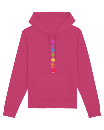 Chakra Raspberry