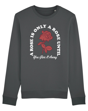 Îmi caut perechea - A rose is only a rose Anthracite