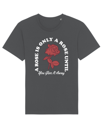 Îmi caut perechea - A rose is only a rose Anthracite