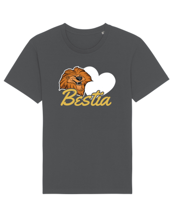 Pentru cupluri - Bestia - FrumoasaSiBestia1 Anthracite