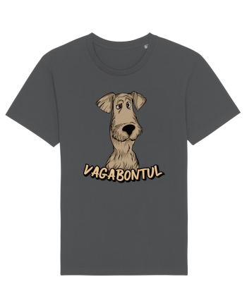 Pentru cupluri - Vagabontul - Doamna si Vagabontul 2 Anthracite