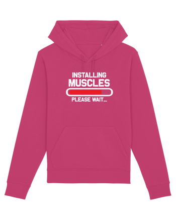 Installing Muscles Please Wait Raspberry