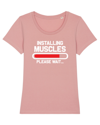 Installing Muscles Please Wait Canyon Pink