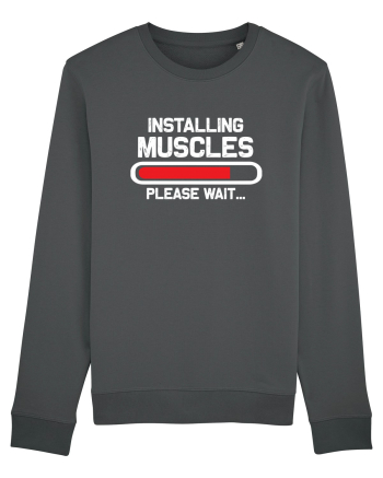 Installing Muscles Please Wait Anthracite