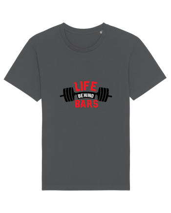 Life Behind Bars Anthracite